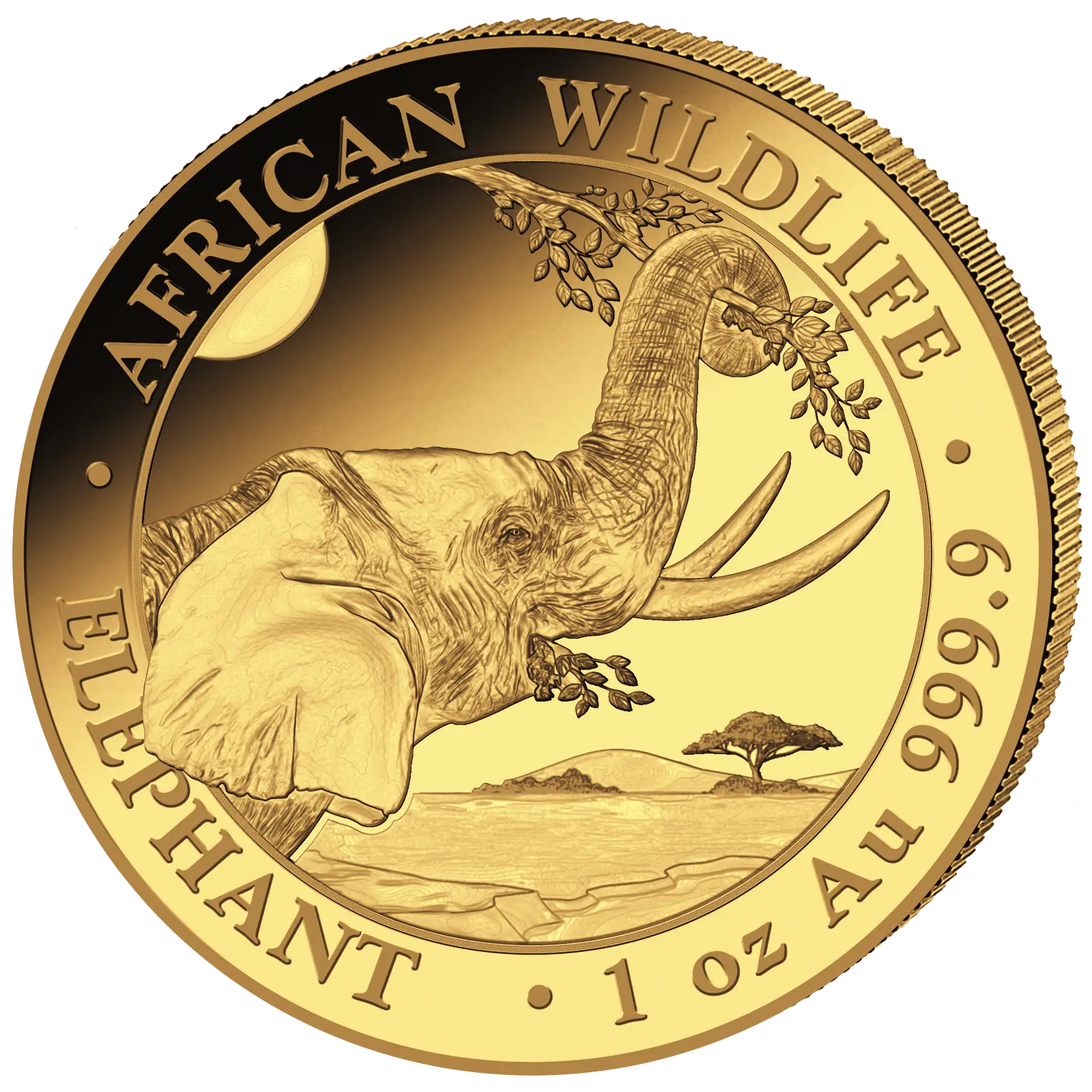 Zlatá mince 1000 Shillings Elephant (Slon africký) 1 Oz 2023 (African Wildlife Series)