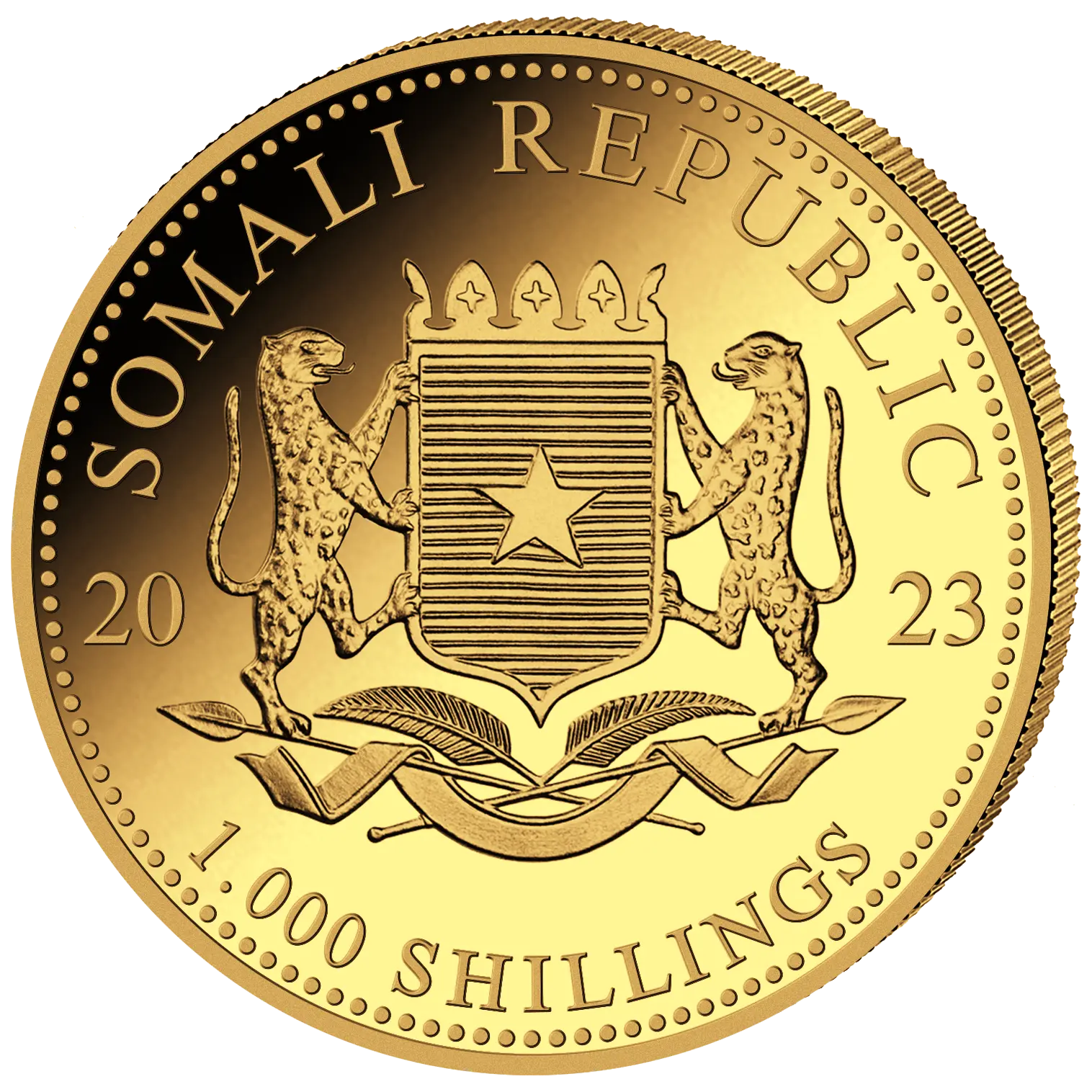 Zlatá mince 1000 Shillings Elephant (Slon africký) 1 Oz 2023 (African Wildlife Series)