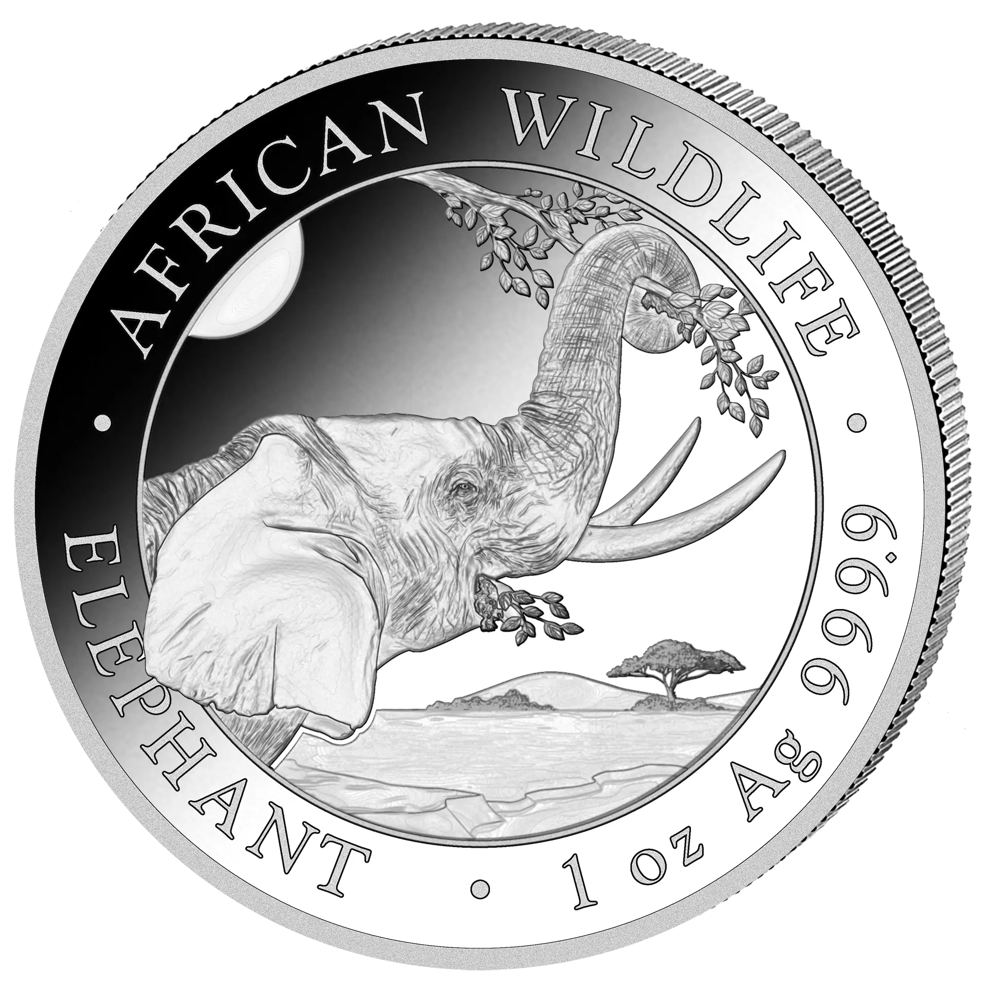 Stříbrná mince 100 Shillings Elephant (Slon africký) 1 Oz 2023 (African Wildlife Series)