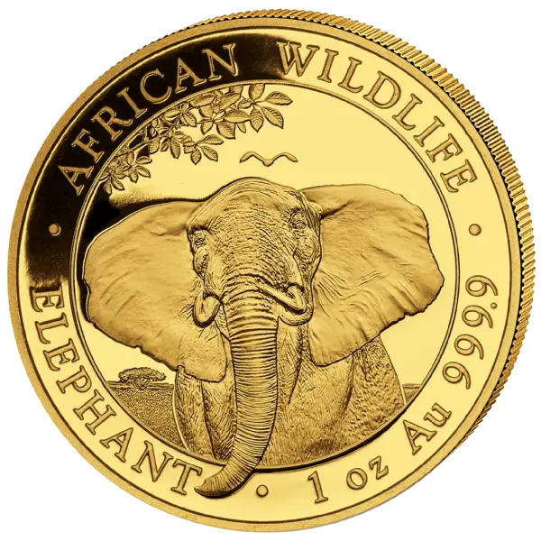 Zlatá mince 1000 Shillings Elephant (Slon africký) 1 Oz 2021 (African Wildlife Series)