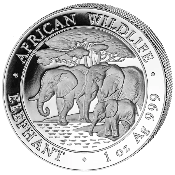 Stříbrná mince 100 Shillings Elephant (Slon africký) 1 Oz 2013 (African Wildlife Series)
