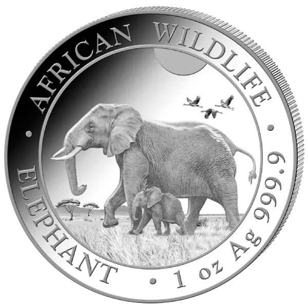 Stříbrná mince 100 Shillings Elephant (Slon africký) 1 Oz 2022 (African Wildlife Series)