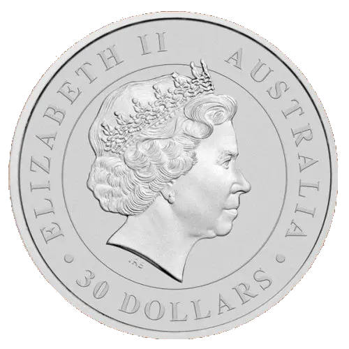 Stříbrná mince 1 kg Australian Koala 2013