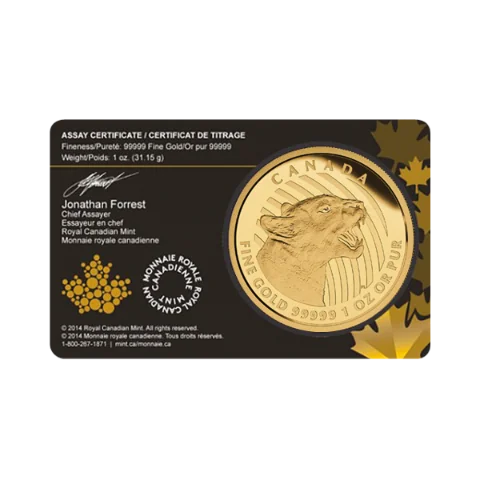 Zlatá mince 200 CAD Growling Cougar (Vrčící puma) 1 Oz 2015 (.99999)