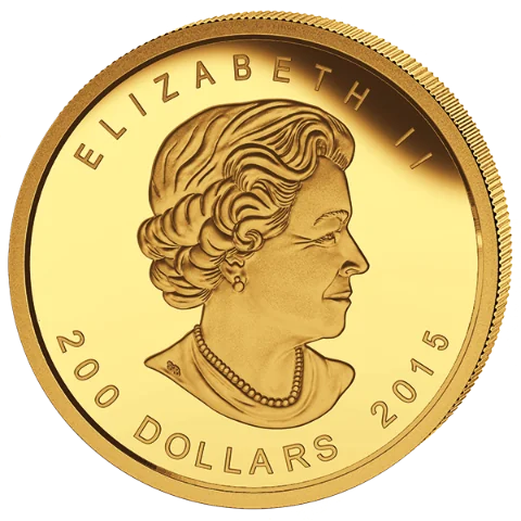 Zlatá mince 200 CAD Growling Cougar (Vrčící puma) 1 Oz 2015 (.99999)