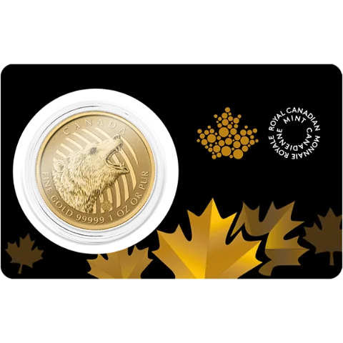 Zlatá mince 200 CAD Roaring Grizzly (Řvoucí medvěd Grizzly) 1 Oz 2016 (.99999)