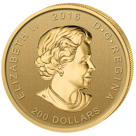 Zlatá mince 200 CAD Roaring Grizzly (Řvoucí medvěd Grizzly) 1 Oz 2016 (.99999)