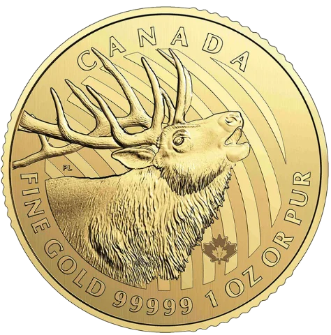 Zlatá mince 200 CAD Elk (Sob polární) 1 Oz 2017 (.99999)