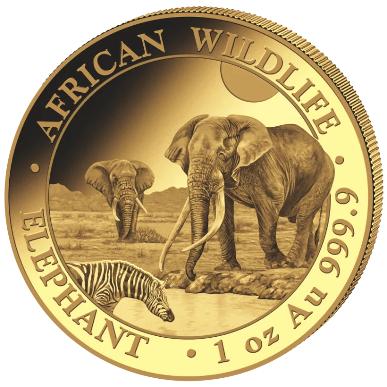 Zlatá mince 1000 Shillings Elephant (Slon africký) 1 Oz 2026 (African Wildlife Series)