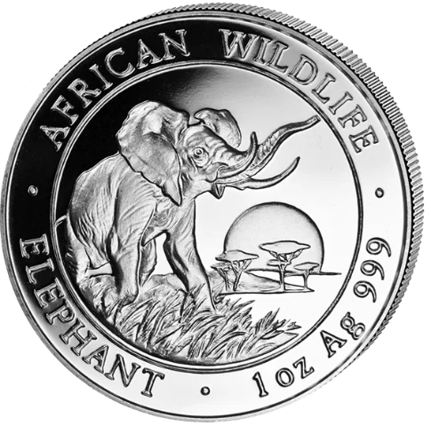 Stříbrná mince 100 Shillings Elephant (Slon africký) 1 Oz 2009 (African Wildlife Series)