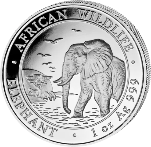 Stříbrná mince 100 Shillings Elephant (Slon africký) 1 Oz 2010 (African Wildlife Series)