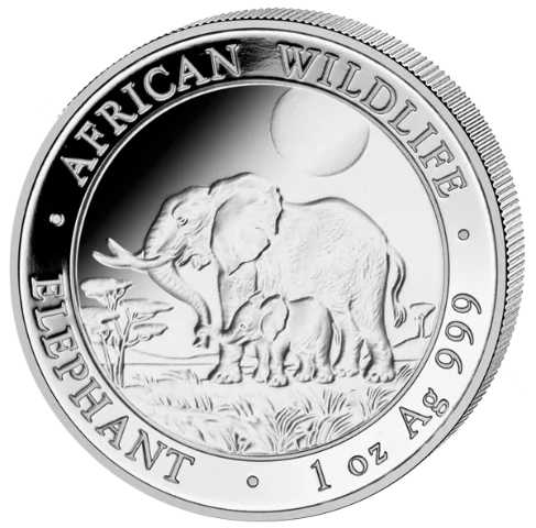 Stříbrná mince 100 Shillings Elephant (Slon africký) 1 Oz 2011 (African Wildlife Series)
