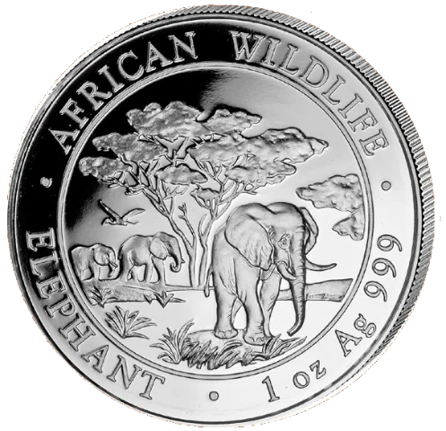 Stříbrná mince 100 Shillings Elephant (Slon africký) 1 Oz 2012 (African Wildlife Series)